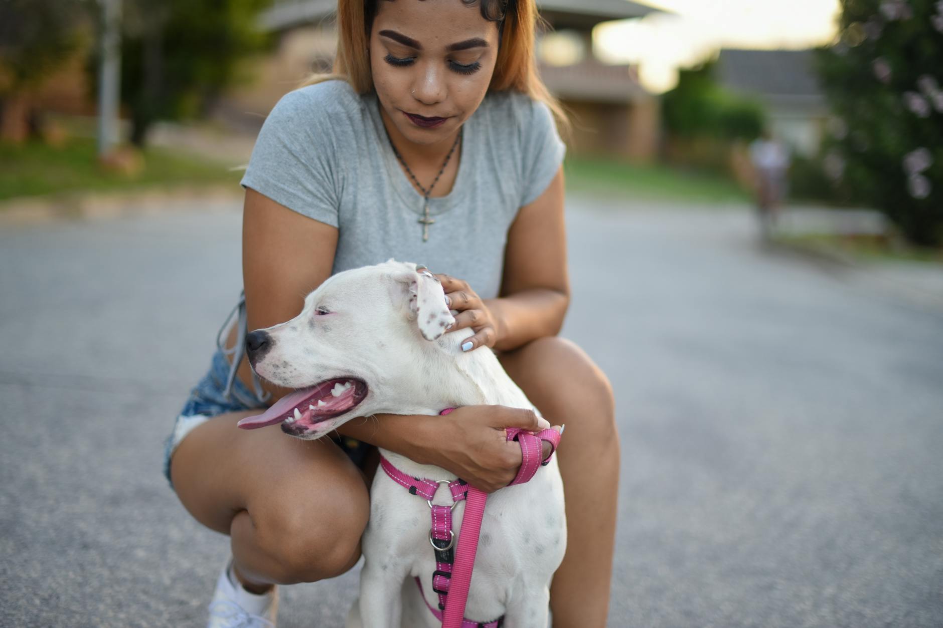 Kobieta spokojnie spaceruje ulicą z psem rasy american bulldog